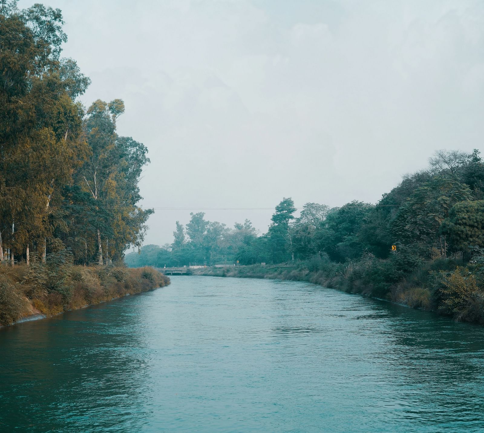 A tranquil river flowing gently between tree-lined banks under an overcast sky.