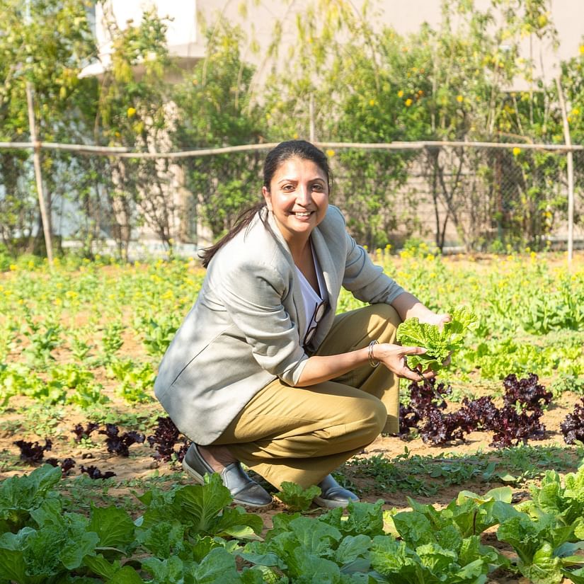 a woman holding a bunch of lettuce on a field - Karma Lakelands