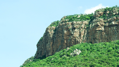 a cliff covered with trees at Sapthagiri Tirupati and blue sky in the background