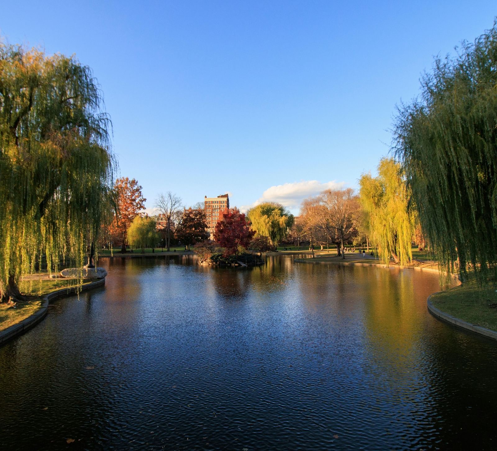 A serene lake view with a clear sky, surrounded by lush trees