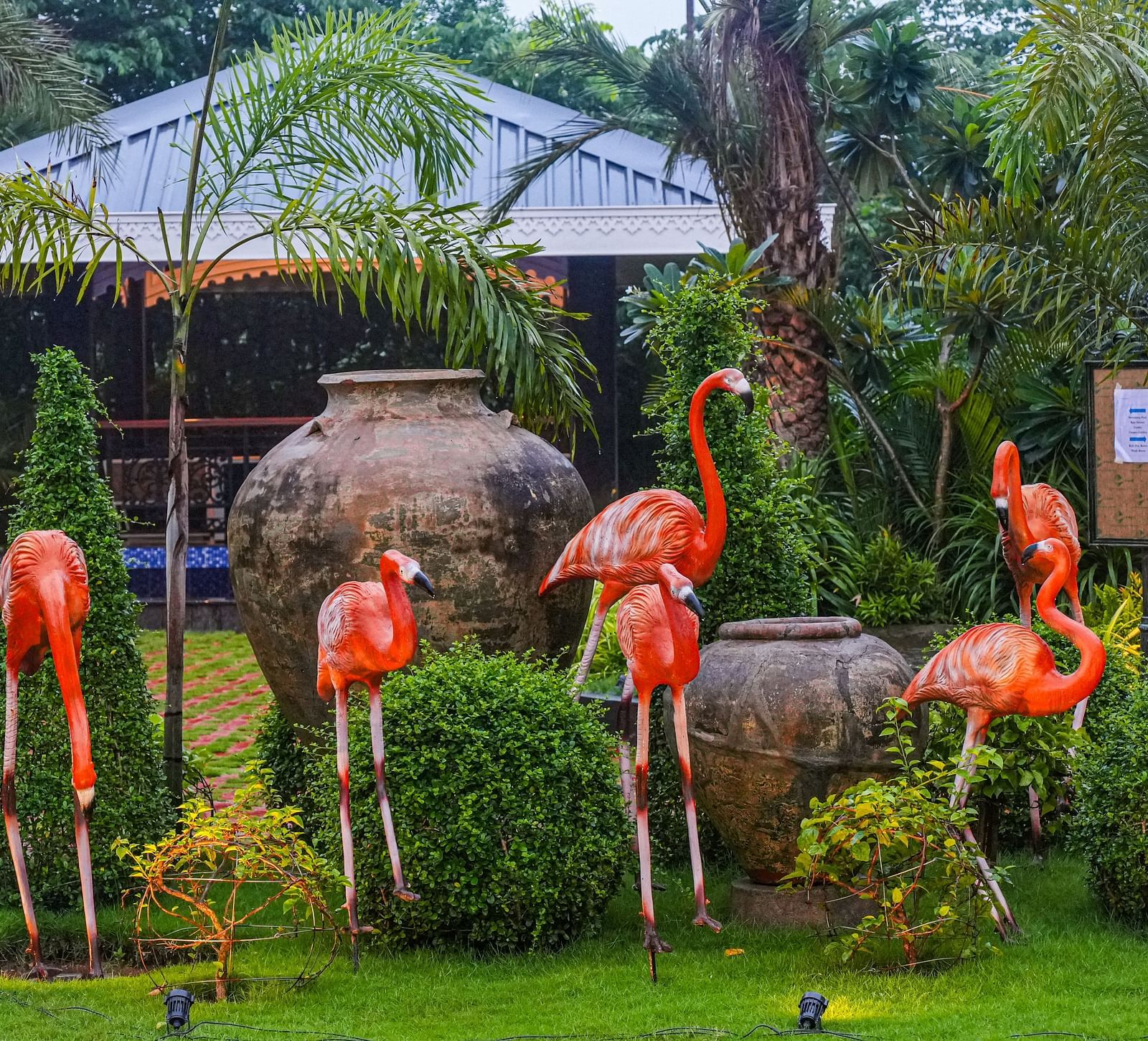  Lawn at Mayfair Oasis Resort & Convention
