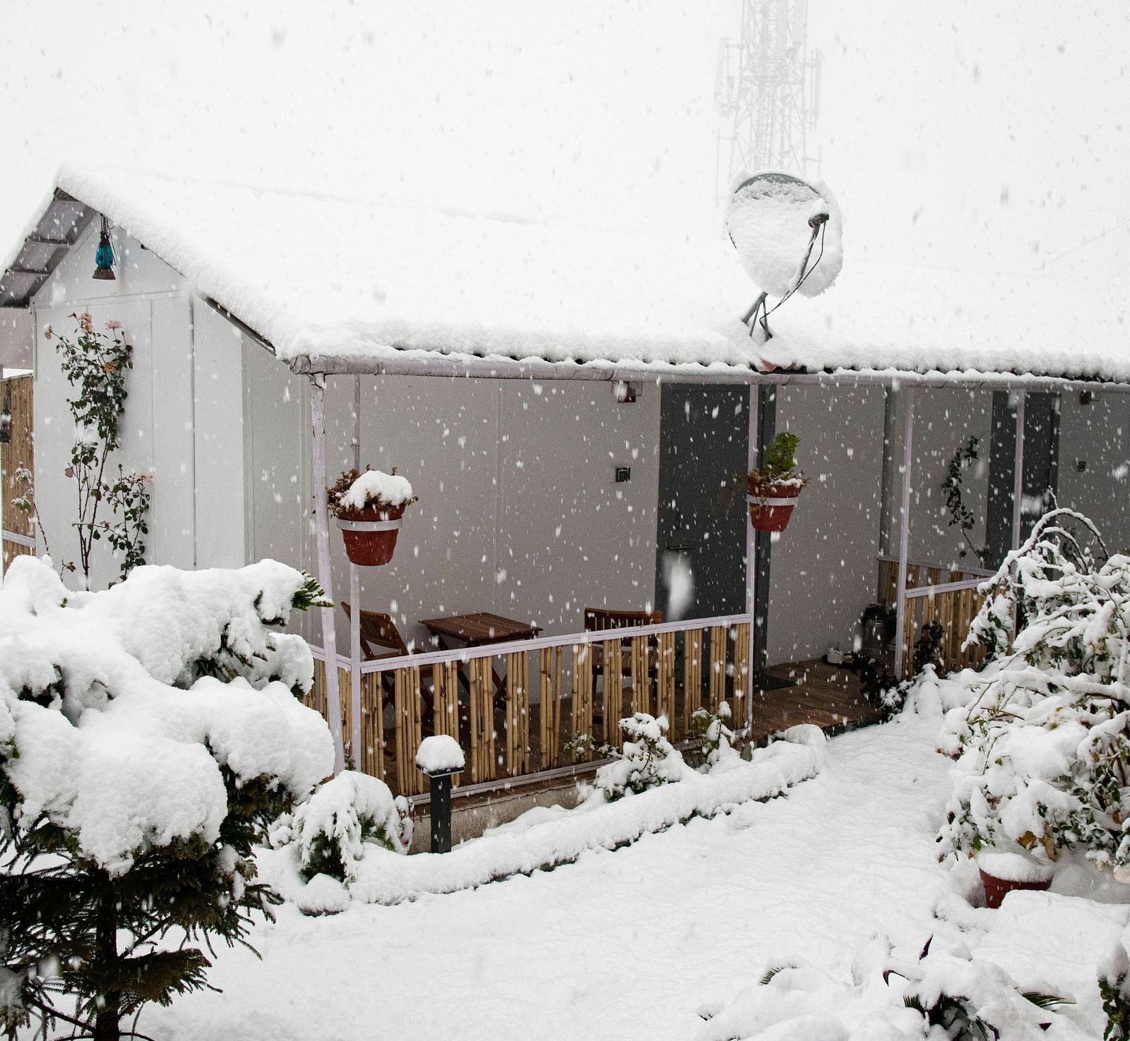 image of a villa with trees and plants surrounding it with everything covered with white coloured snow - The Tattva, Joshimath