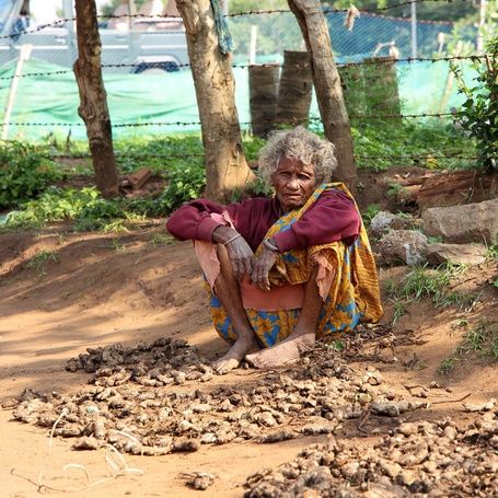 Jenu Kurubas tribe woman sorting roots outdoors.