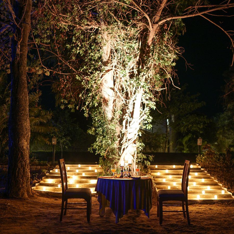 romantic resort in jim corbett- the golden tusk