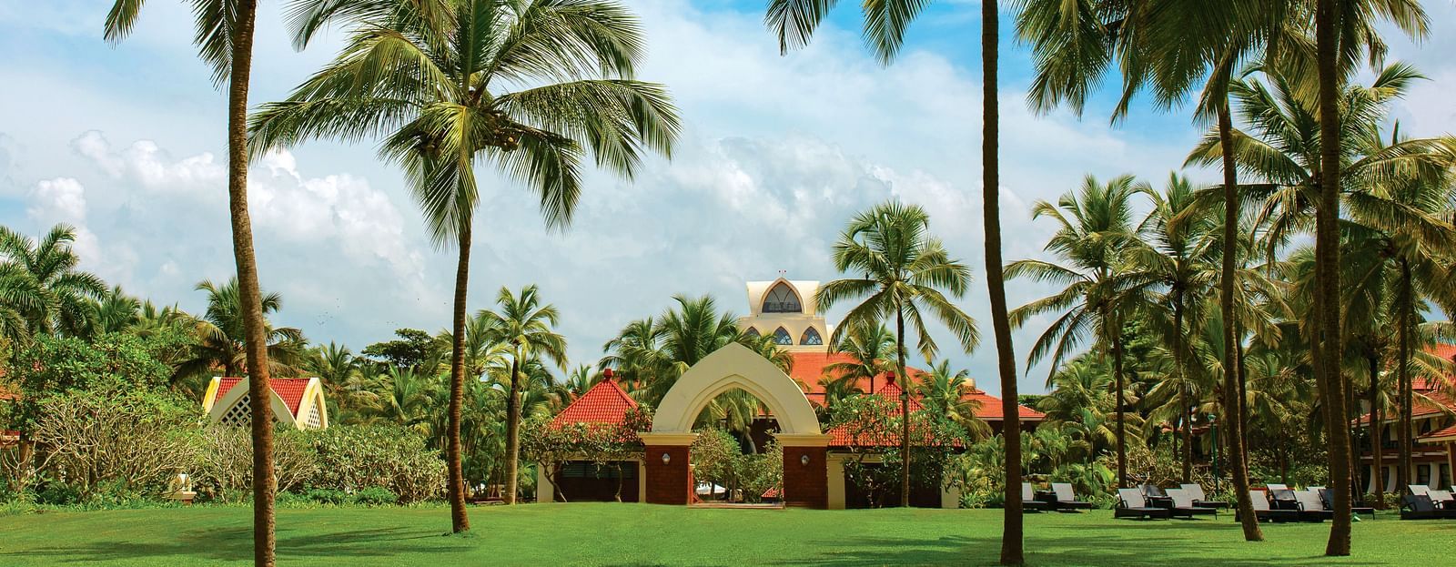 overview of the lawn area with many coconut trees on it - Caravela Beach Resort Goa