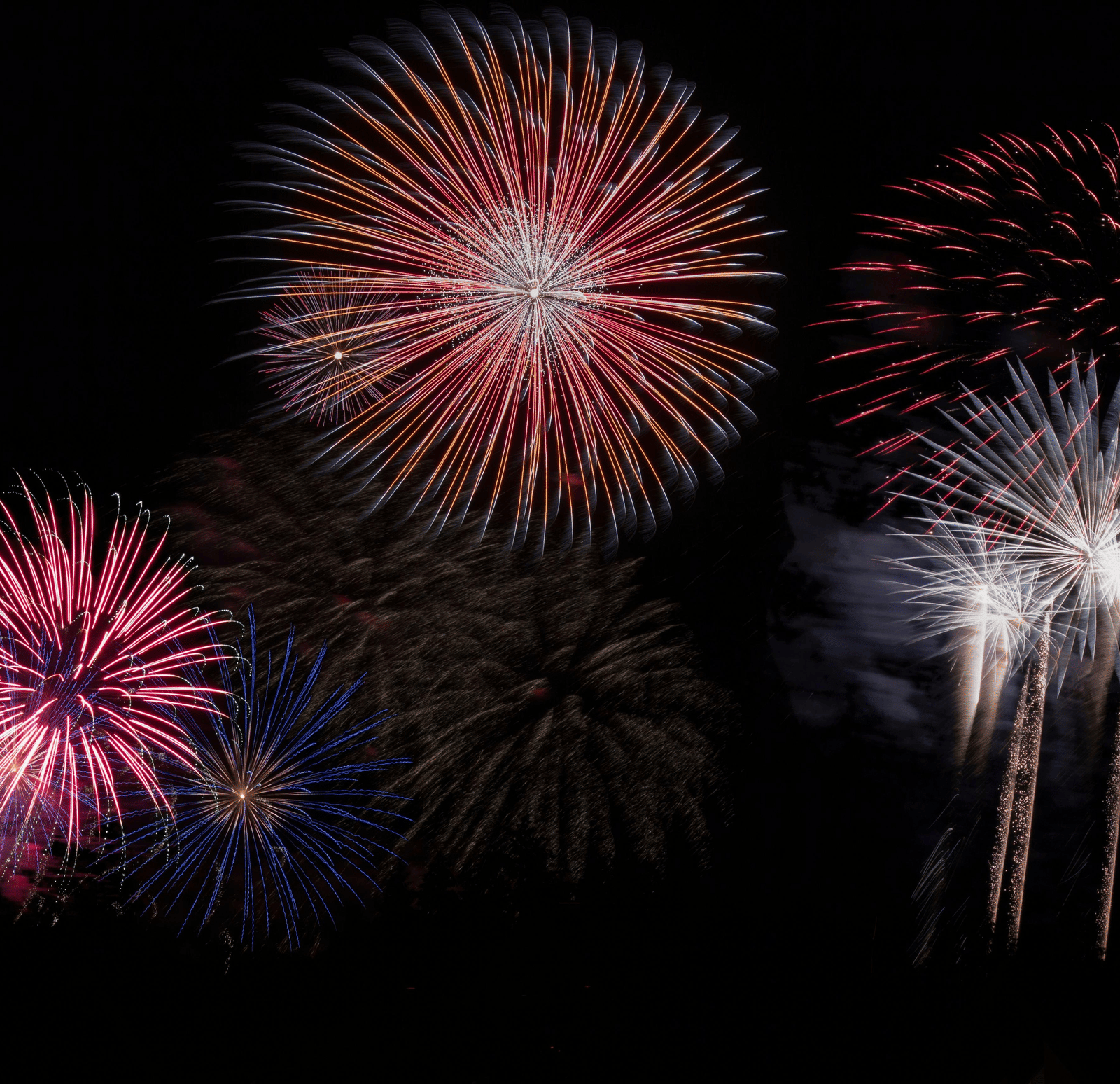 A display of multiple colourful fireworks exploding against a solid black night sky, featuring bursts of red, orange, pink, blue, and white.