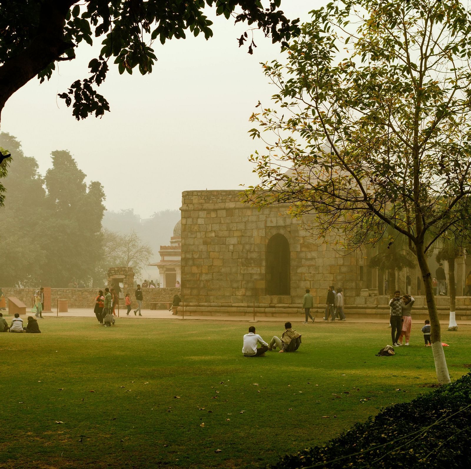 image of a park surrounded by plants and trees