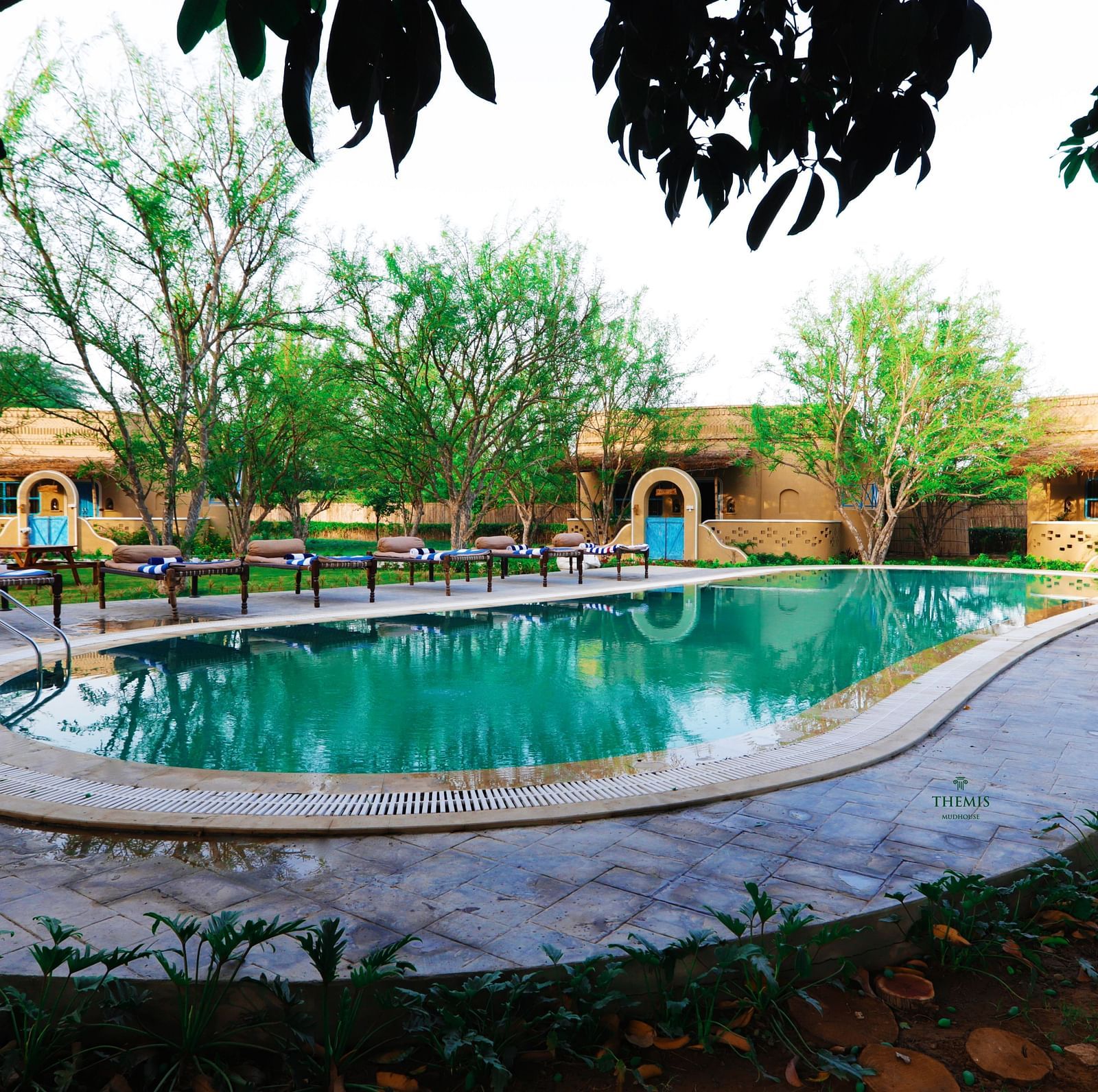 An image of a swimming pool surrounded by a few trees and there is a builidng behind that - Themis Barbecue House