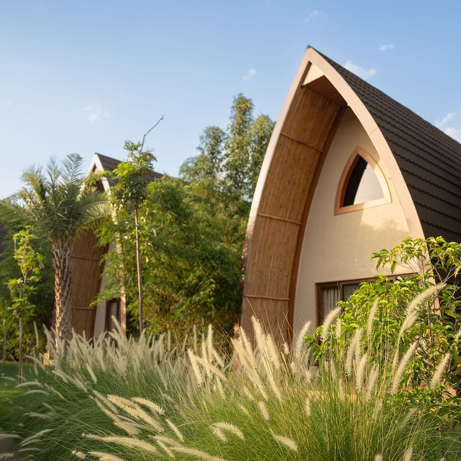 Side view of villas at Ananta Spa and Resort, Ajabgarh surrounded with green trees.