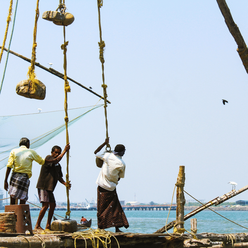 firos-nv-XX5kFG7TGho-unsplash