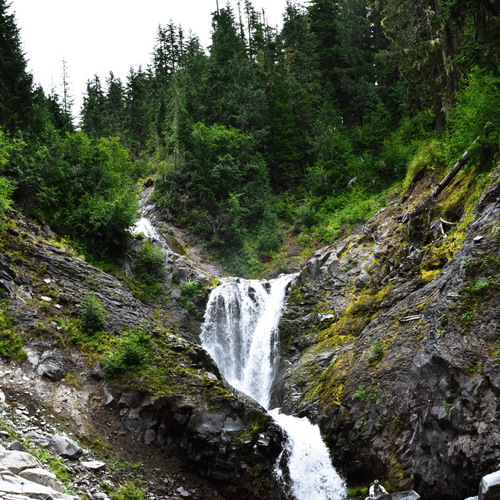 An overview of the waterfalls inside a forest with trees in the background, as seen during the day.