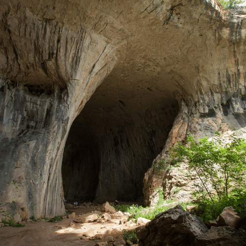 An overview of a narrow cave entrance with a vegetation growing next to the entrance and the sunlight hitting it.