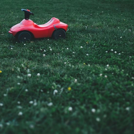 A small red toy car on a green lawn dotted with tiny white and yellow flowers.