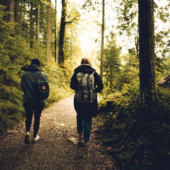 people hiking through a forest