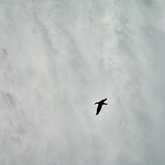 a bird flying away from a waterfalls that is cascading down with force