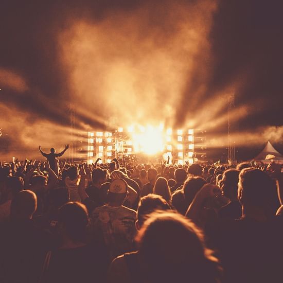 People having fun in the concert