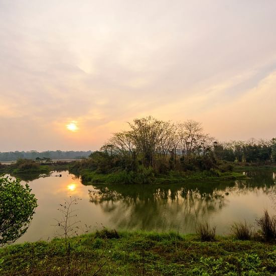 View of Migratory Birds Pond - Waxpol Hotels and Resorts