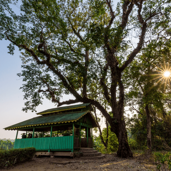 A wooden house with semi built walls from where people can enjoy the view of nature