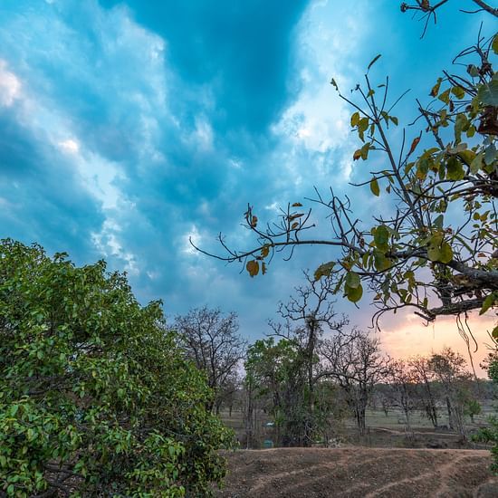 evening sky at Riverwoods Kanha - Waxpol Hotels and Resorts