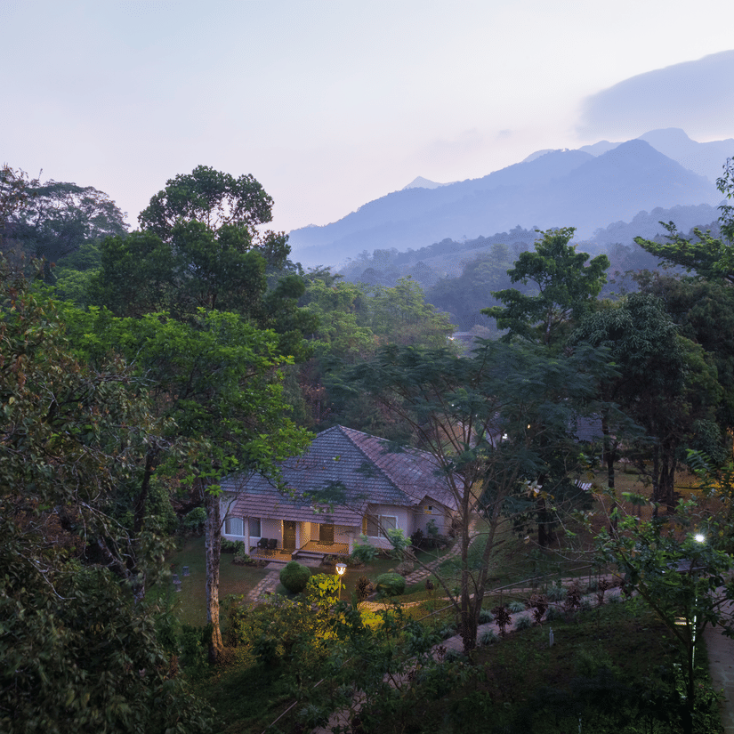 An aerial shot featuring trees and a glimpse of a building amidst the natural landscape - Abad Brookside Lakkidi, Wayanad
