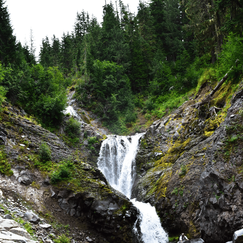 An overview of the waterfalls inside a forest with trees in the background, as seen during the day.