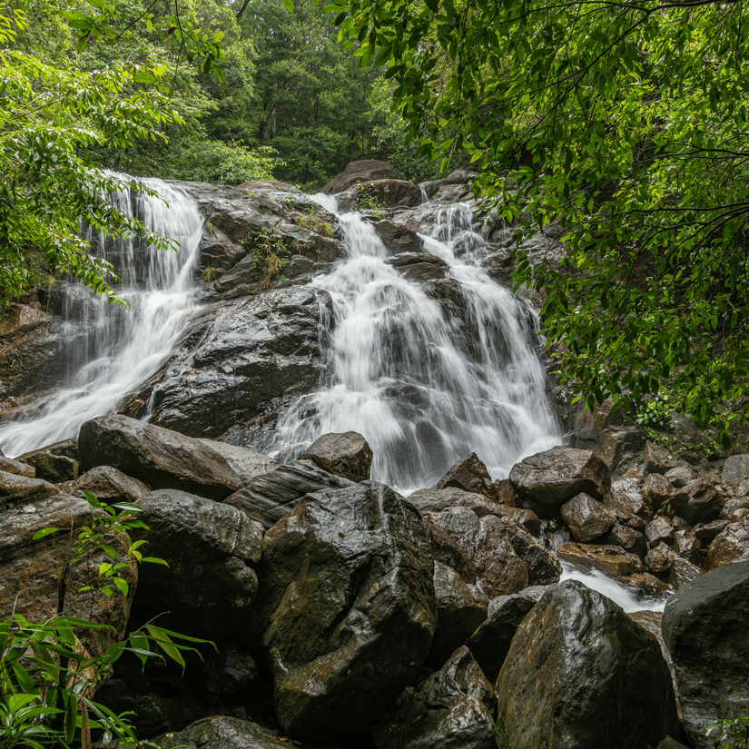 Cascading waterfall flowing over dark rocks amid dense green forest in a serene natural setting