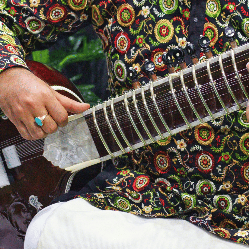 A classical musician playing the veena, reflecting Thanjavur’s rich musical heritage.