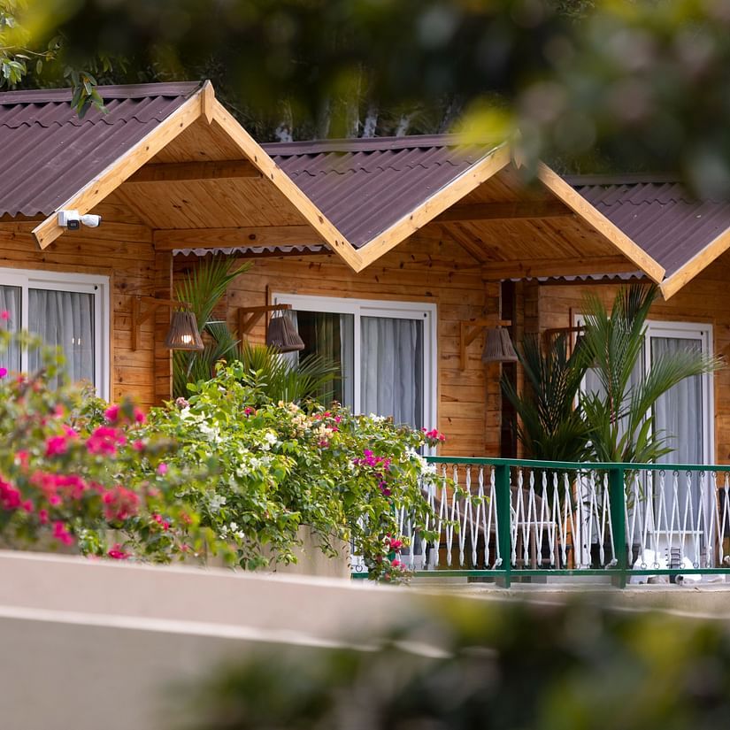 Row of cottages in full view with flowers blooming in front of them - Stone Wood Jungle Resort, Dandeli