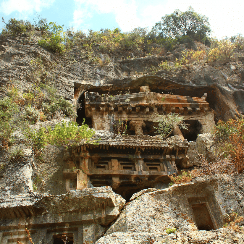 A view from bottom of a cave cut on the side of a cliff with trees and bushes growing next to Pandav Leni, Nashik. 