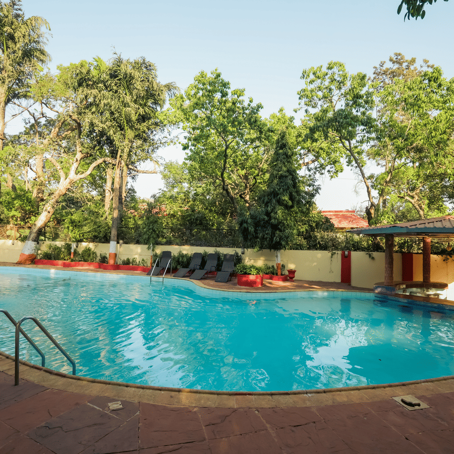 A wide-angle view of a large outdoor resort swimming pool surrounded by a concrete deck and a dense backdrop of trees.