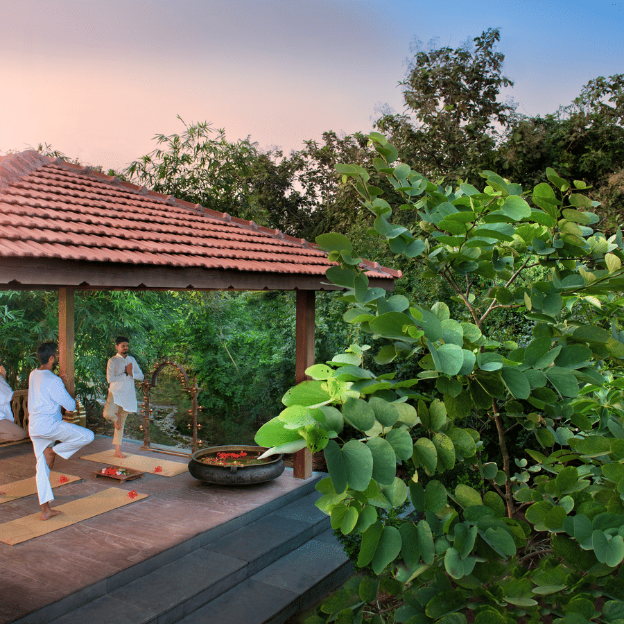 Open-air yoga pavilion at Aramness, surrounded by lush green trees, where guests and an instructor practice yoga at sunrise, evoking tranquility and connection with nature.