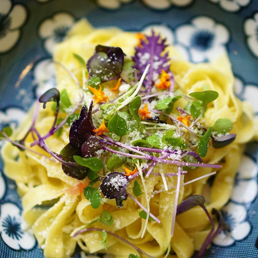 Close-up of a  with greens and herbs on a patterned plate.