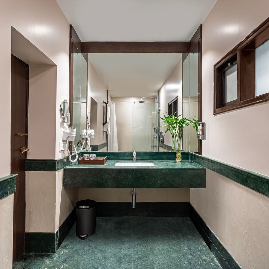 Ganga View Room Washroom 2