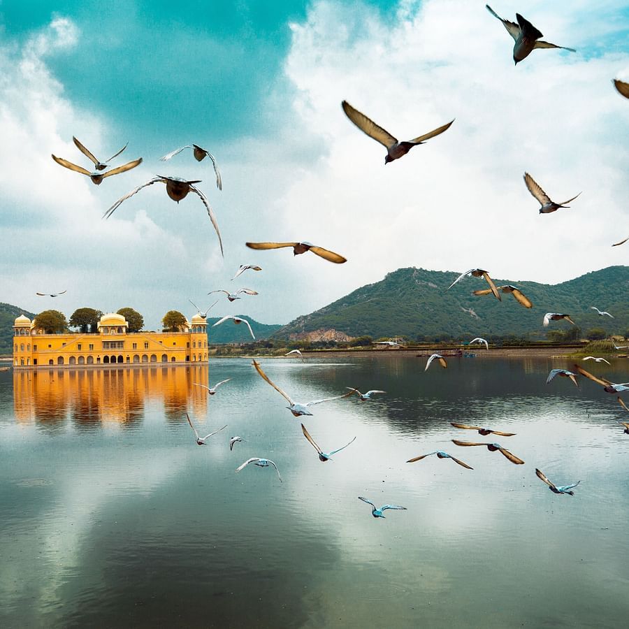 Jal Mahal in a lake with mountains in the background and birds flocking towards it