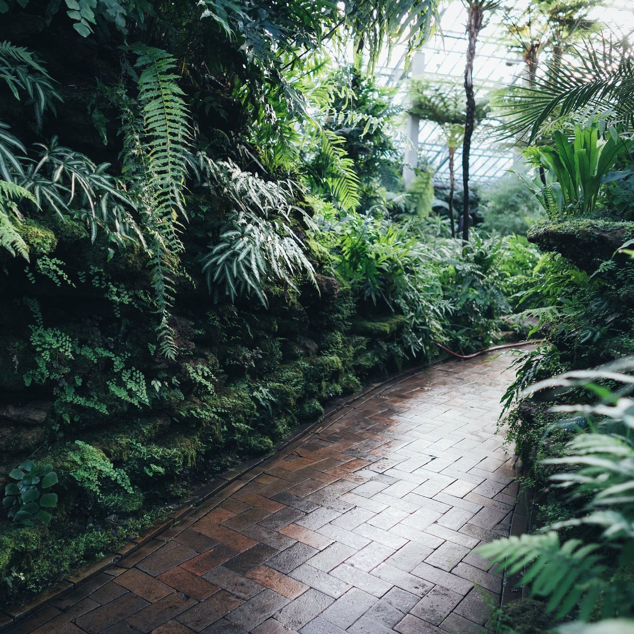 A small trail with pavers and trees around it