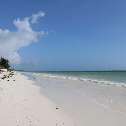 Idyllic white sand beach and azure ocean under clear skies.