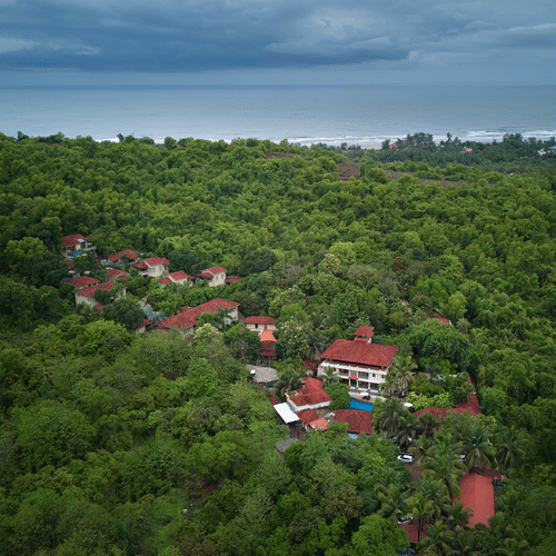 Birds eye View 2