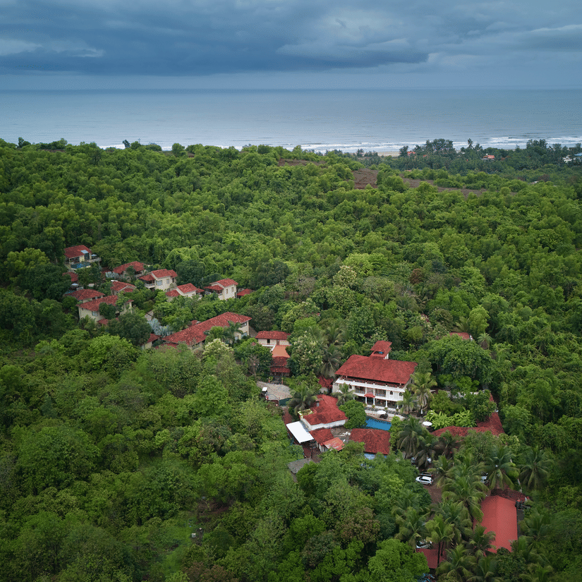 Birds eye View 2