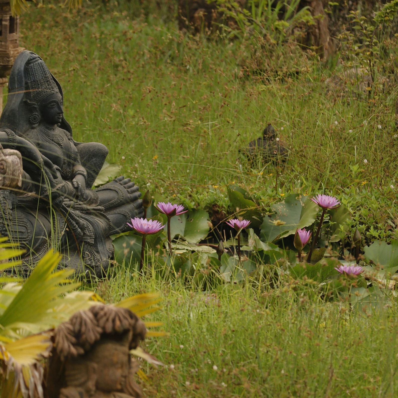 rock garden - enjoy the natural beauty of terraced gardens and waterfalls at these picturesque picnic spots.