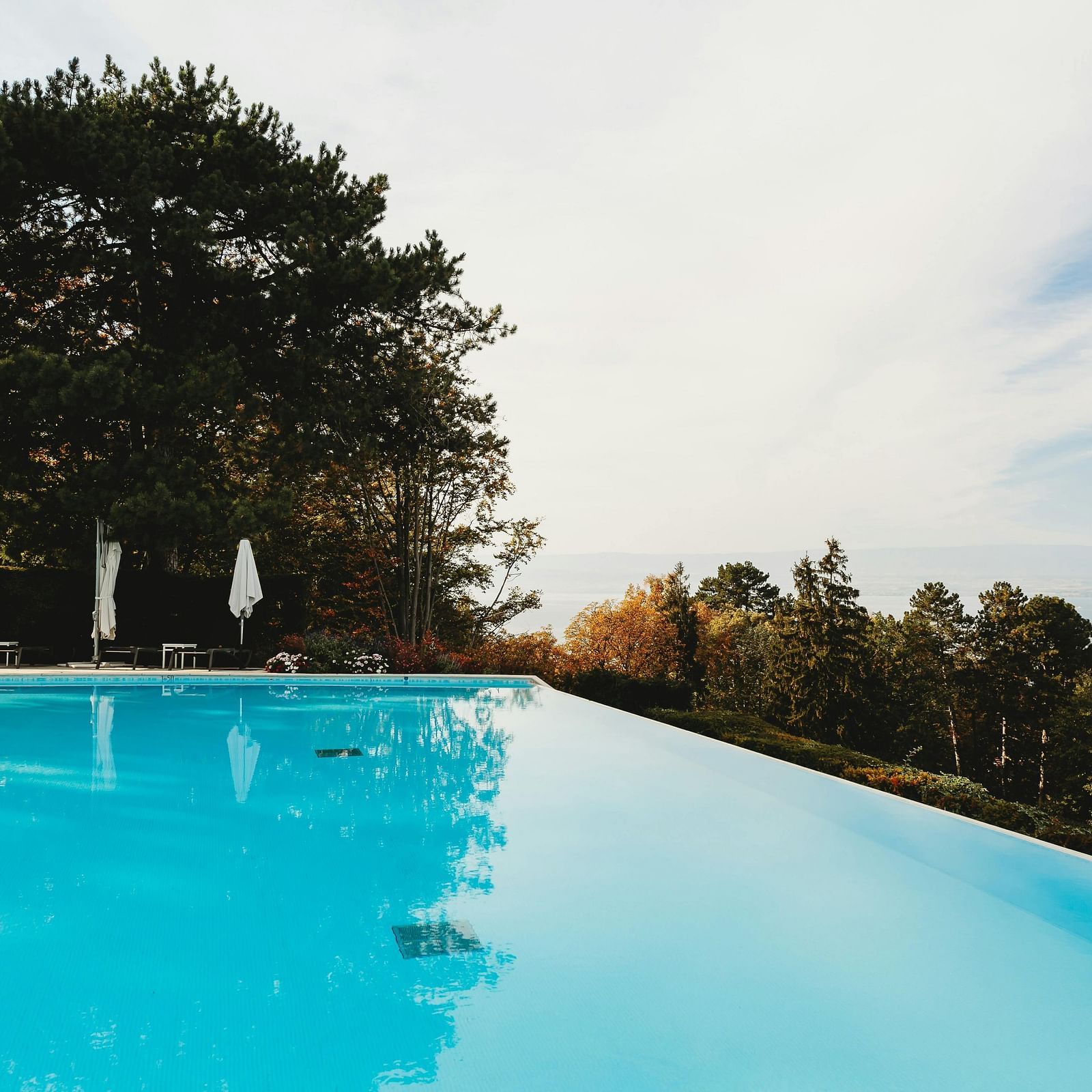 An image of a swimming pool with the backdrop of lush greenery and a bright sky