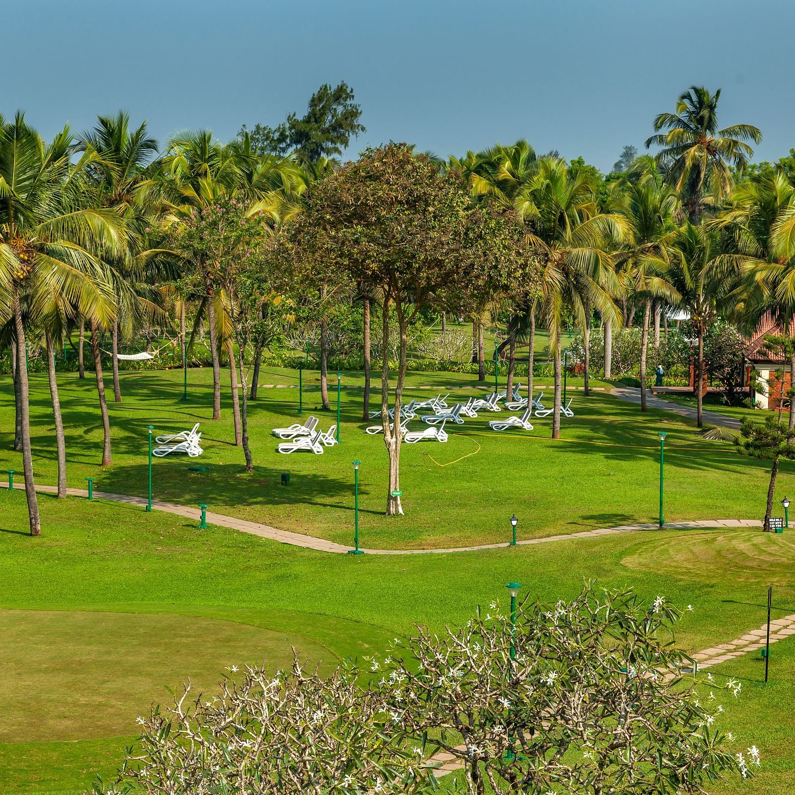 an overview of the lawn with manicured grass - caravela beach reasort goa 