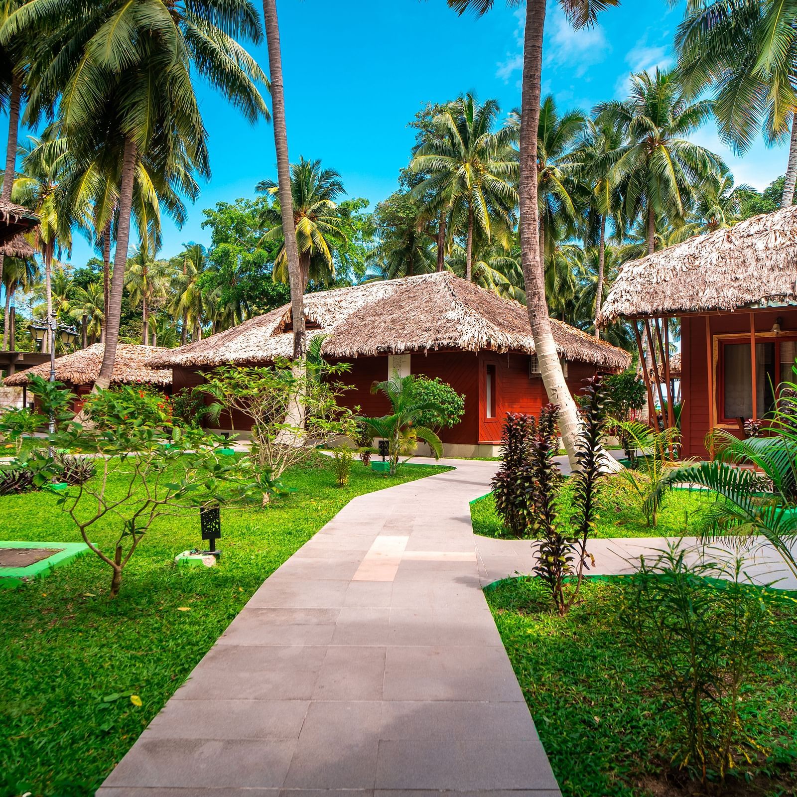 Pathway in a graden space at Coral Reef Hotel & Resort