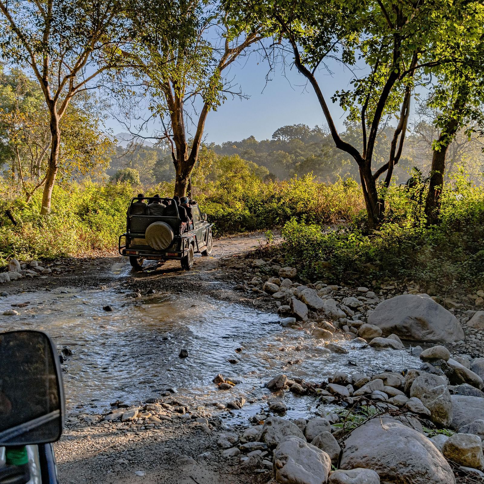 two safari jeeps traversing through a jungle with a small water body during the day time