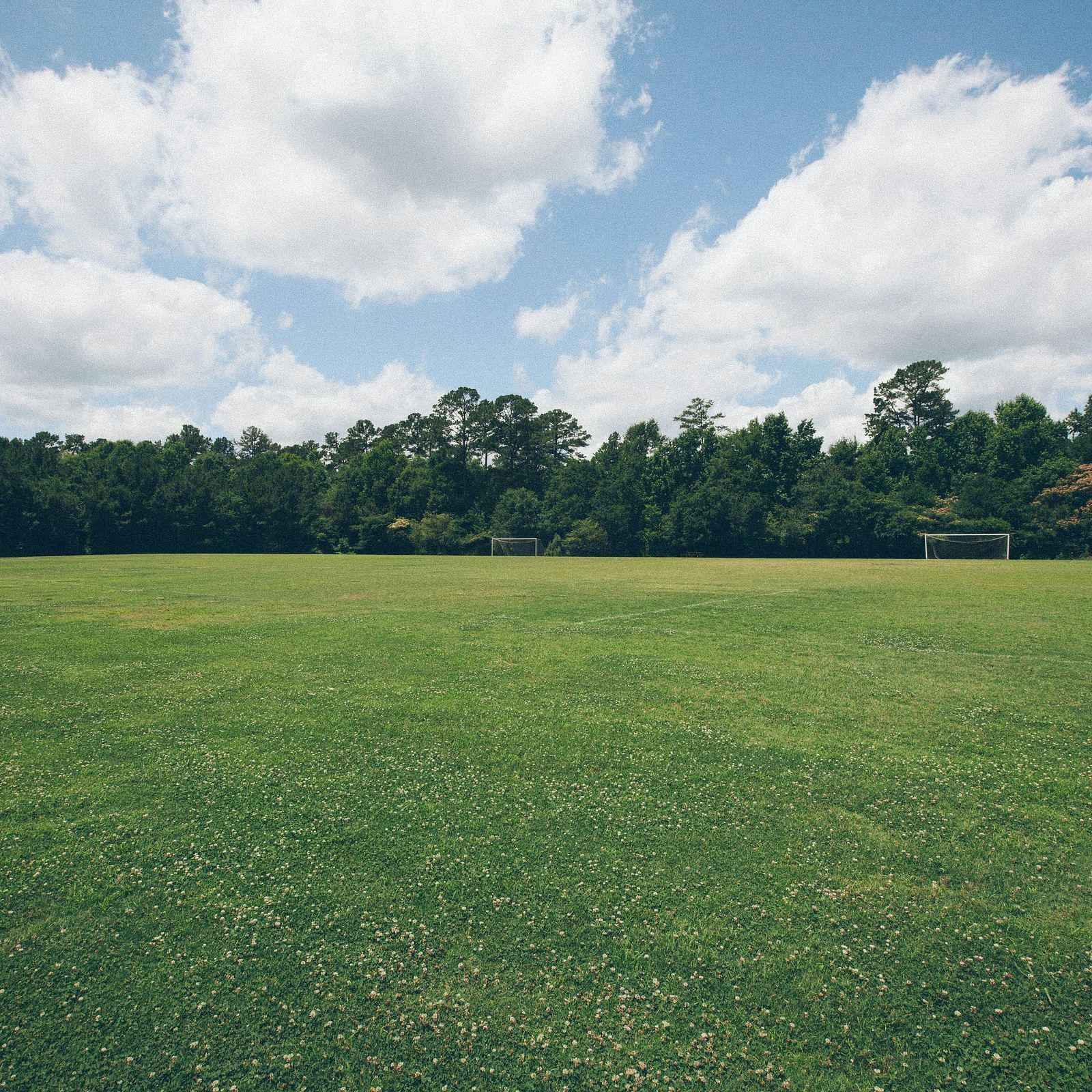 a green lawn surrounded by trees