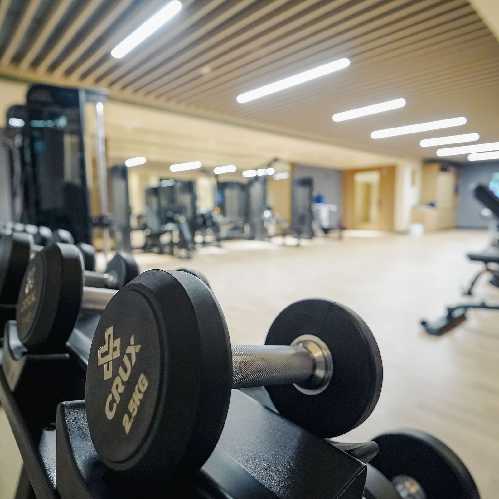 A close up image of the dumbbells in our Madurai gym