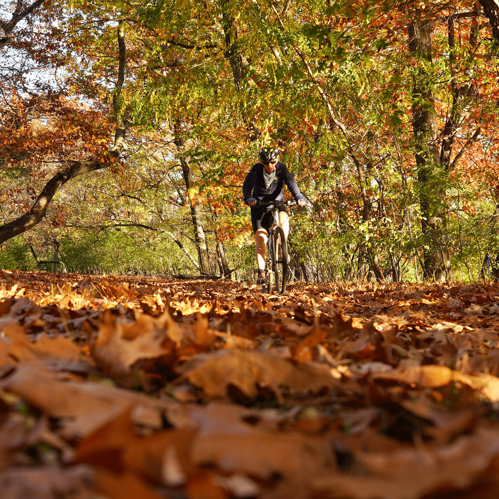 A person riding bicycle in the middle of woods