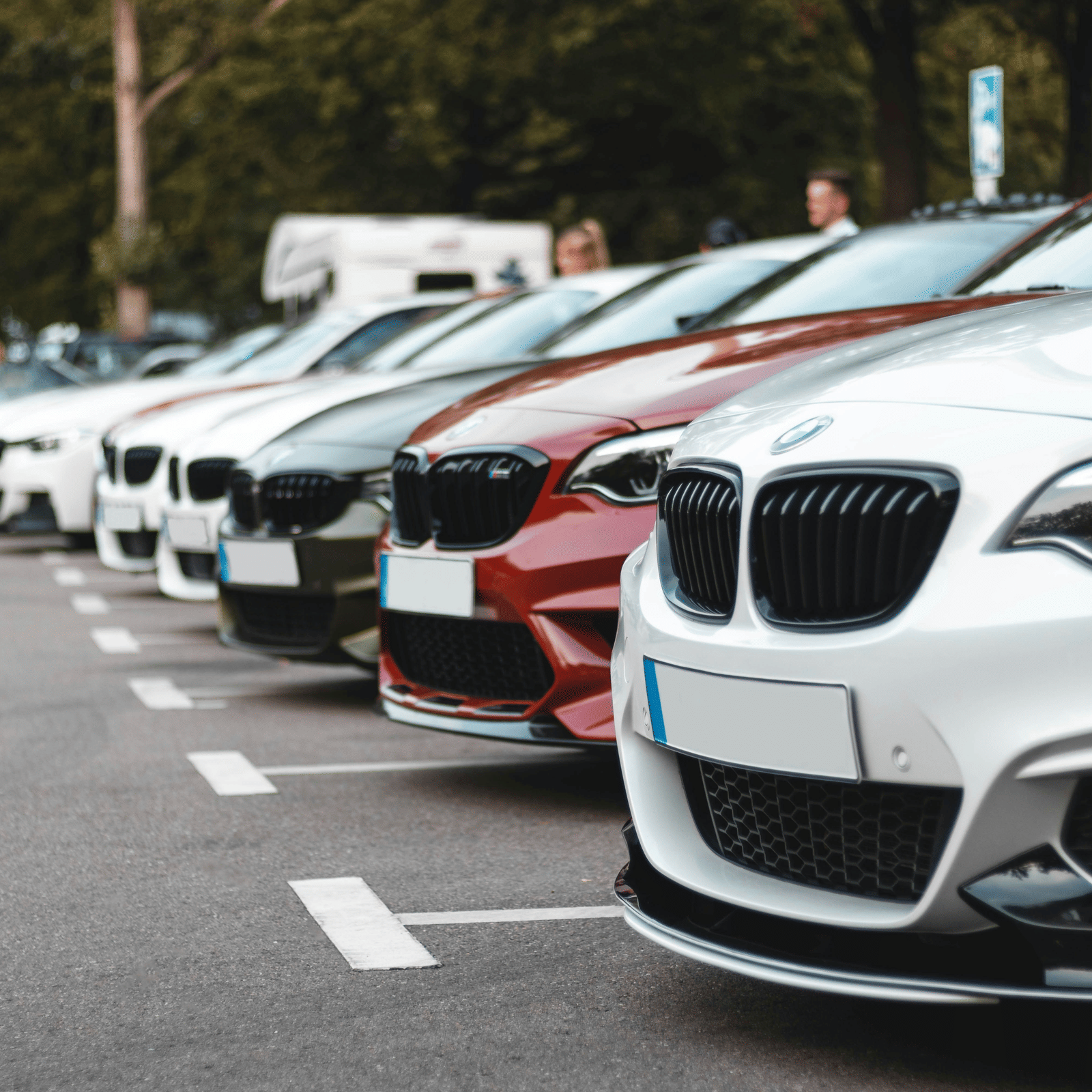 sara-kurfess-gmMja8G6gw4-unsplash