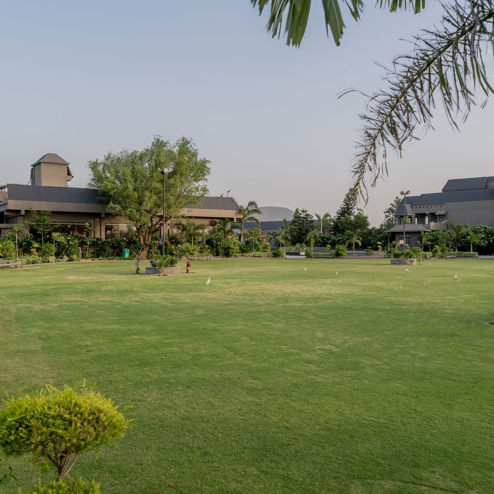 Another view of the expansive green lawns and outdoor space at Hotel Highway King Shahpura.