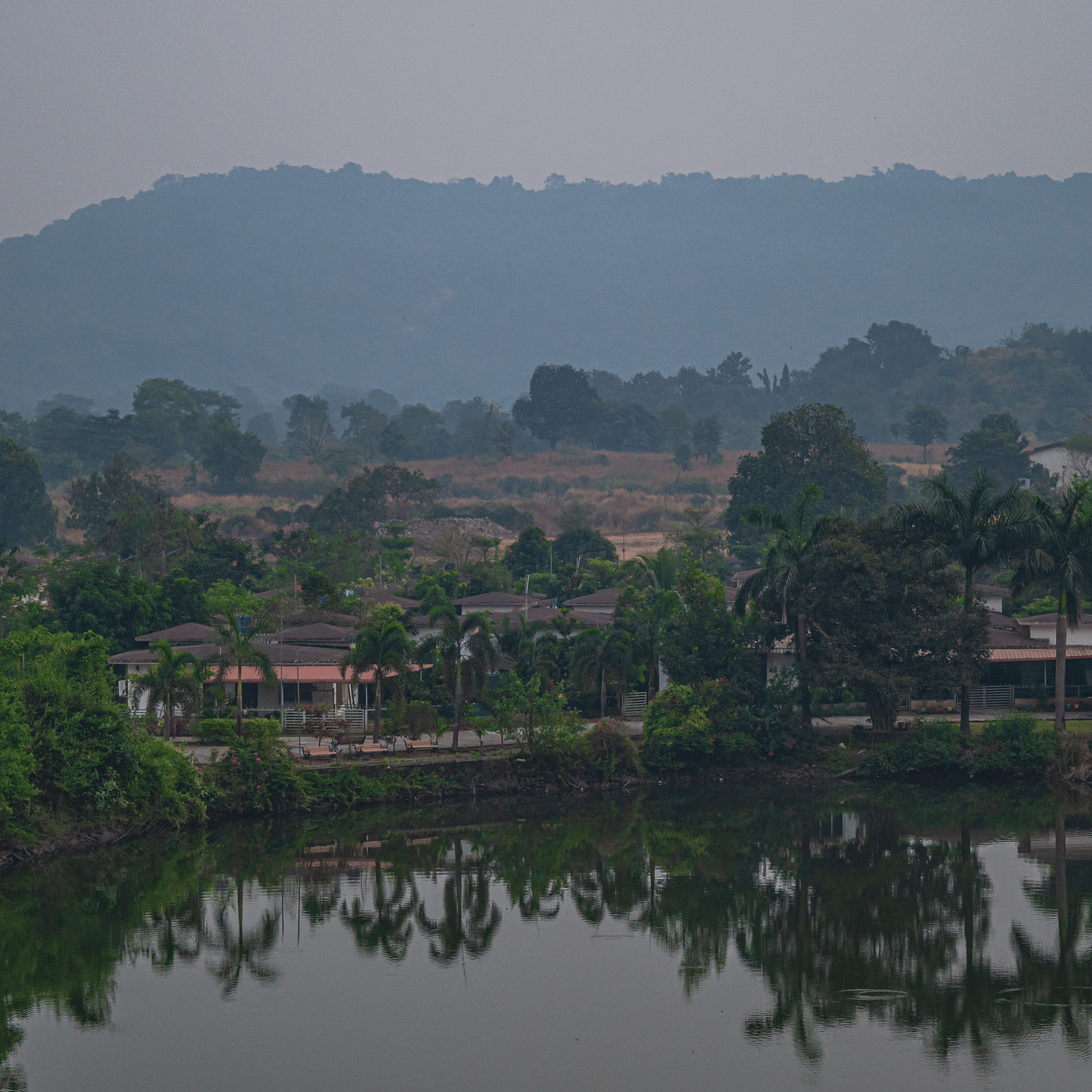 A serene view of a lake surrounded by trees and hills in the background at Lotus Leaf Boutique Hotel.