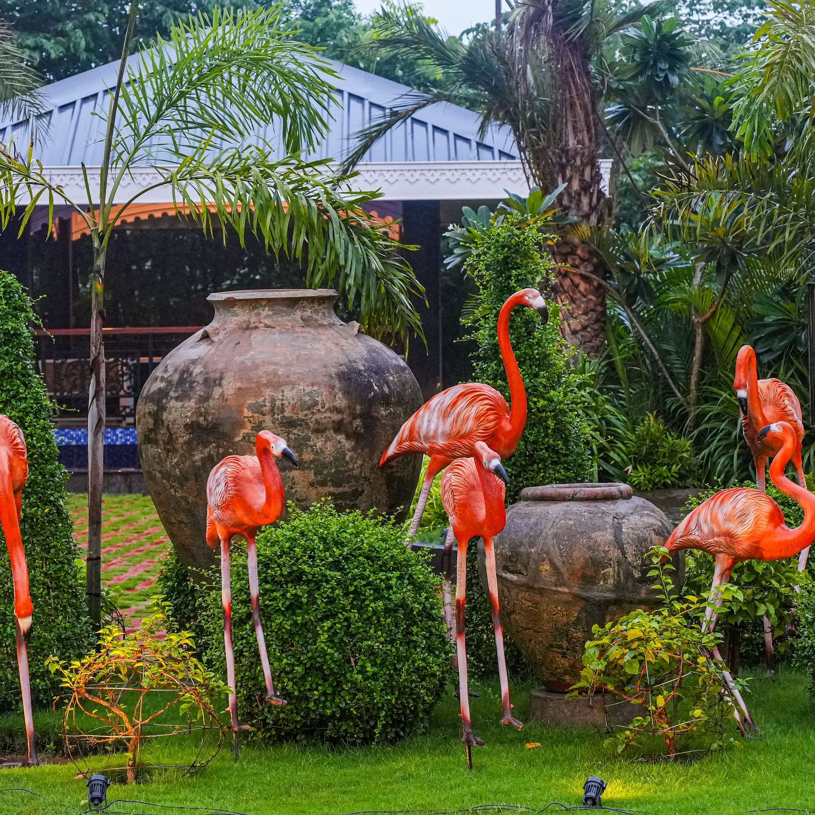  Lawn at Mayfair Oasis Resort & Convention